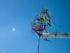Maibaum aufstellen